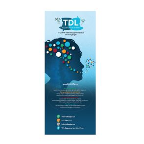 TDL Saguenay Lac-Saint-Jean